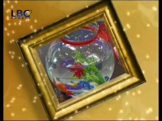 Quotidiennes / Dailies 20/01 - Perfect Bride 2 - (1)