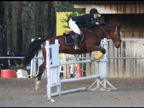 Concours St Seurin Gracieuse