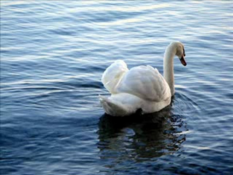 We will meet again - Evanthia Rempoutsika (Babam ve Oglum)