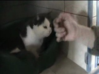 Ursaff - 17 janvier 2010