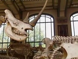 La légende des sciences - Devenir 4/6