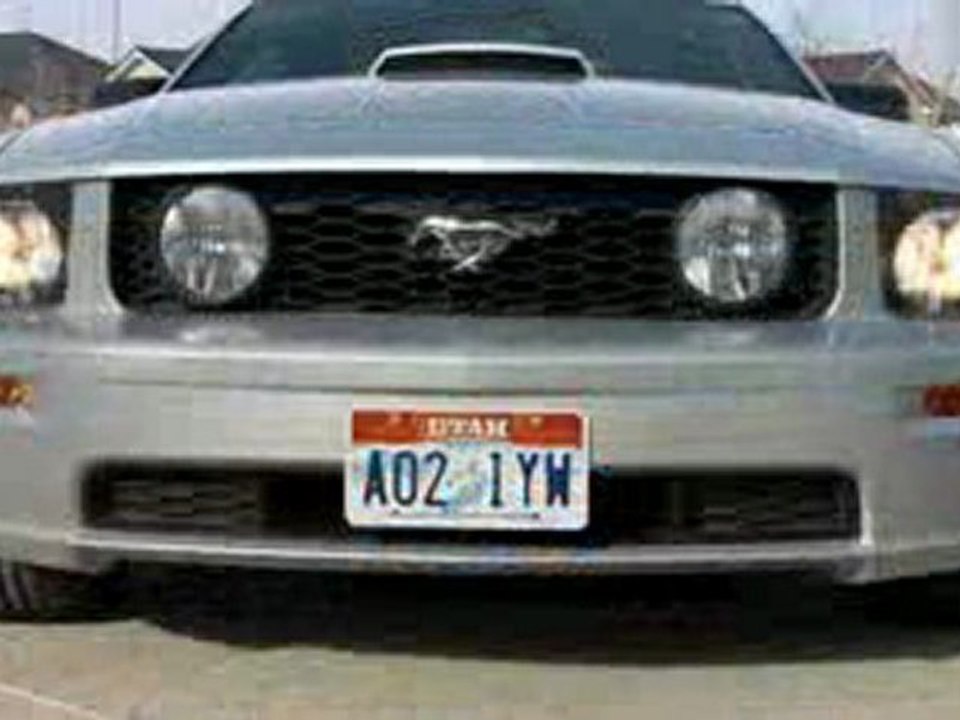 Stack Racing Lower Grille Kit for 05-09 Mustang