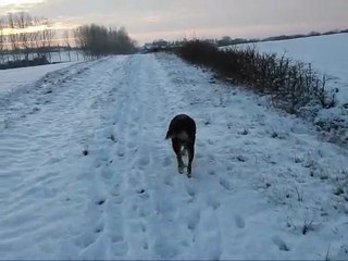 rouzereux en hiver 20 decembre 2009