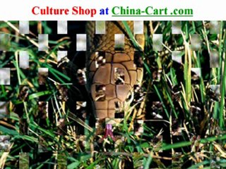 Chinese snake in China