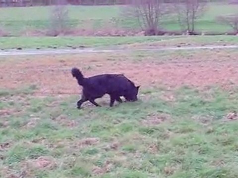 bawl des orckis de l'adret : piste entrainement