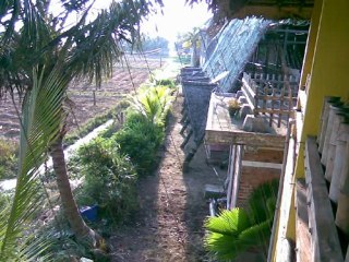 kerala backwater/alleppey hotels