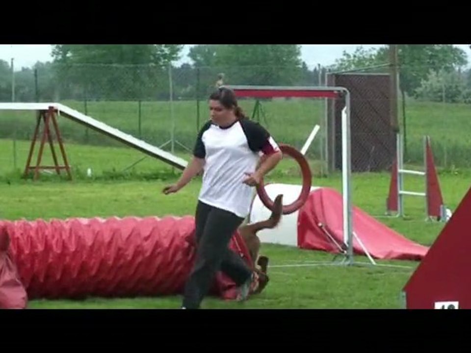 looping sur 2009