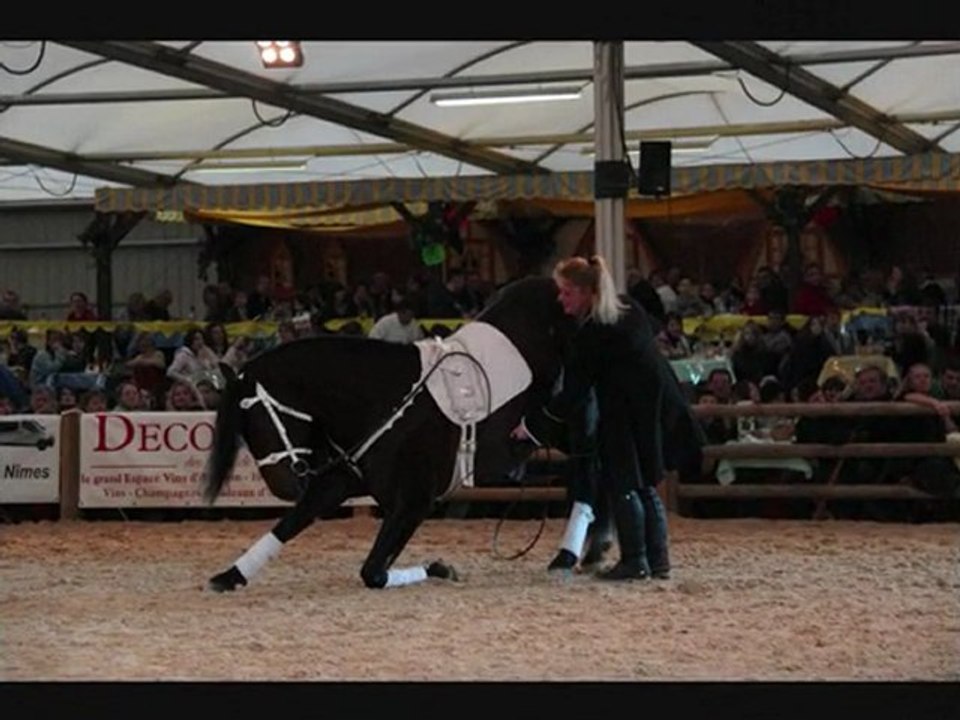 cheval passion 2010