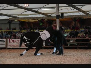 cheval passion 2010