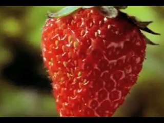 CERRONE SYMPHONY- " Impressions" (Fan Video made by Jon)