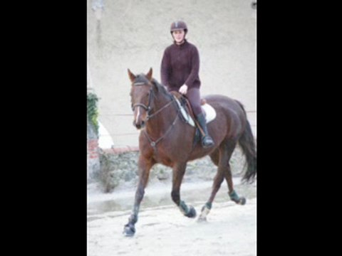 Lilou et moi cours d'obstacle avec parcours à 110.