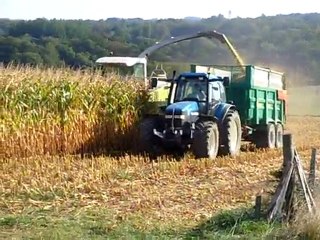 Ensilage de Maïs 09 / New Holland TM150