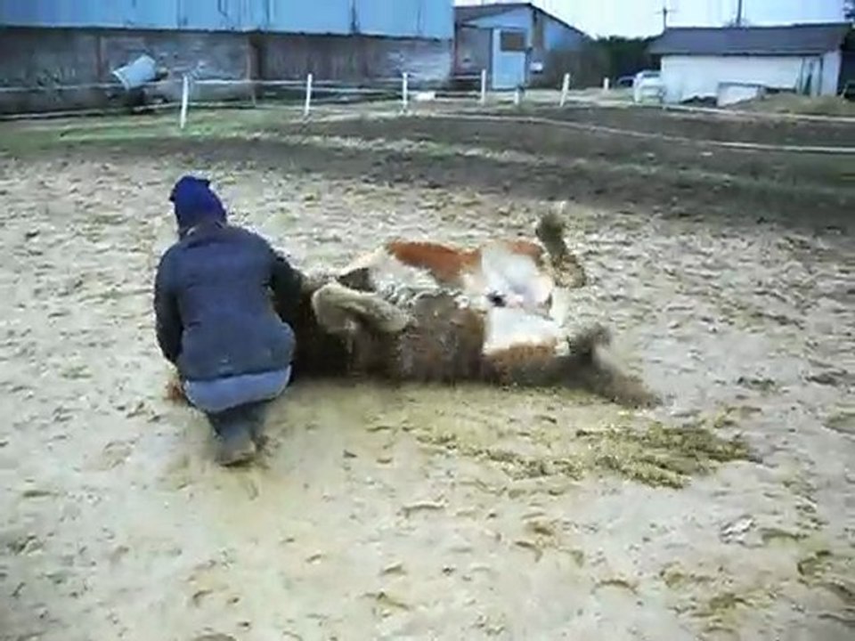 Sun couché mercredi 20 décembre