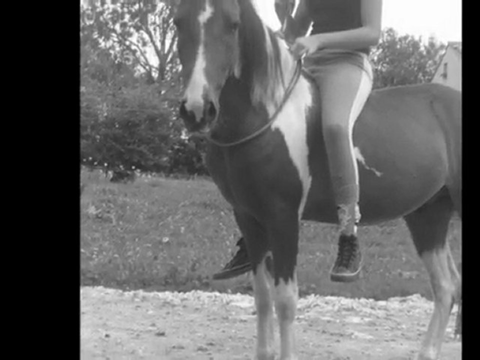 Loulou en progrès .. Bonus : Neige (L)