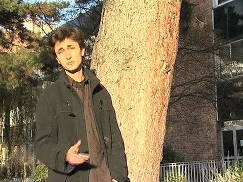 AGENCE REDZONE SRC VELIZY