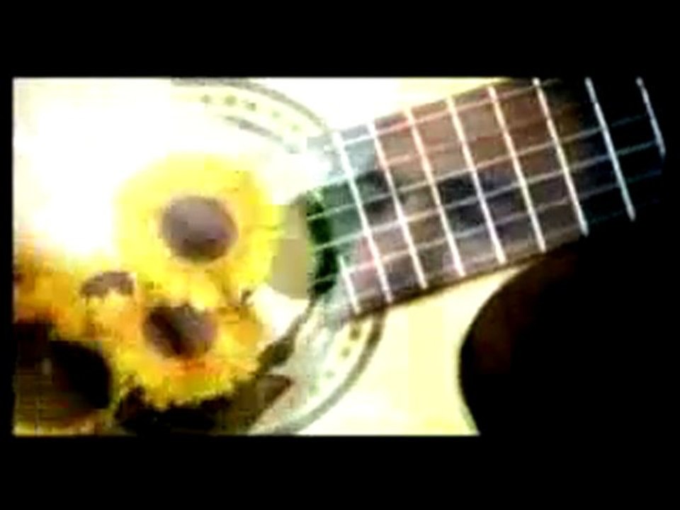 mehmet atlı-no çı halo