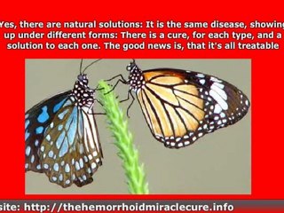 Hemorrhoids - Are Hemorrhoids Common? There Are Natural Solu