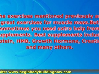 Some Good Aids For Bodybuilding Biceps