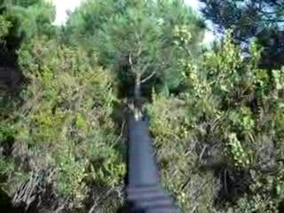 azap airsoft takımı