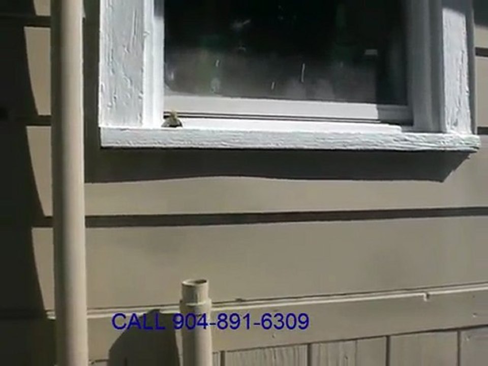 Find A Home Inspector Jacksonville Florida