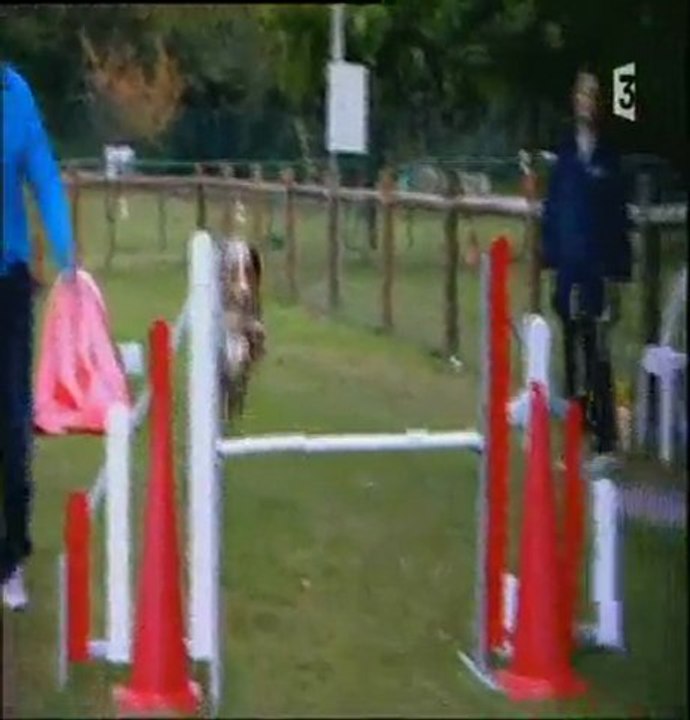 sultane est la vedette de 30 millions d'amis