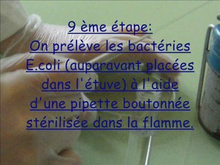 TPE antibiotiques 2010