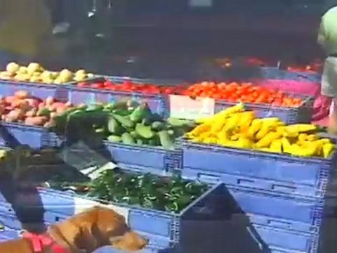 The Commons At Timber Creek Apartments in Portland, OR