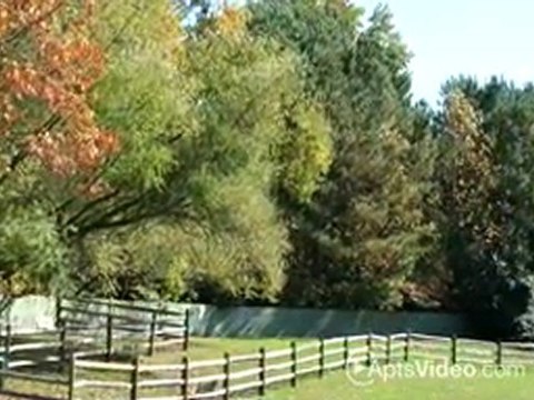 Bridgewater Apartments in Duluth, GA-ForRent.com