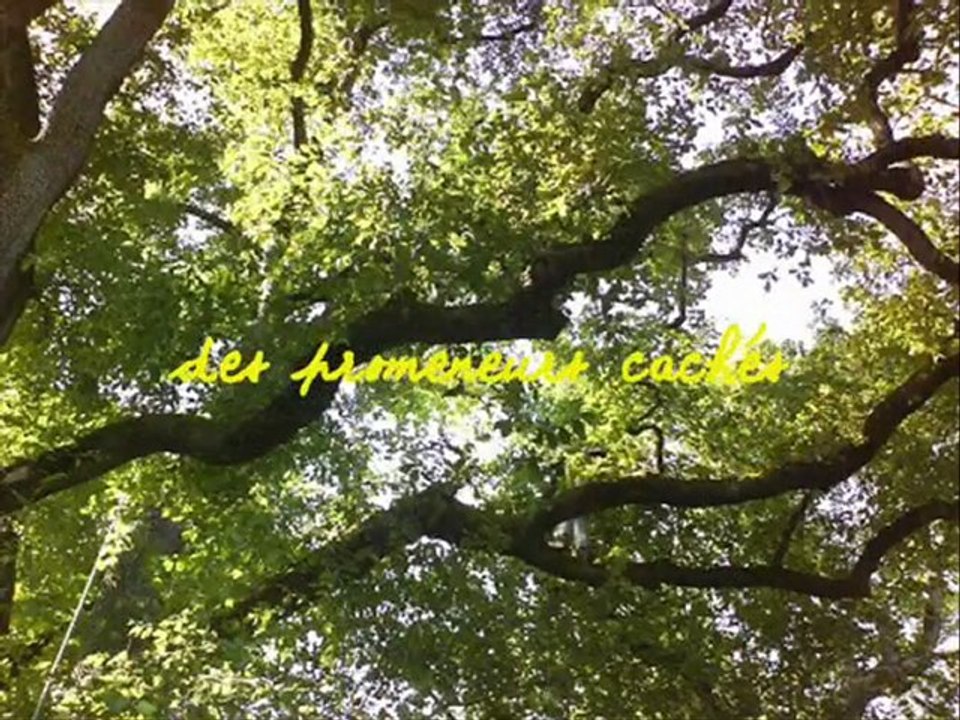 meilleurs voeux de grimpe 2010