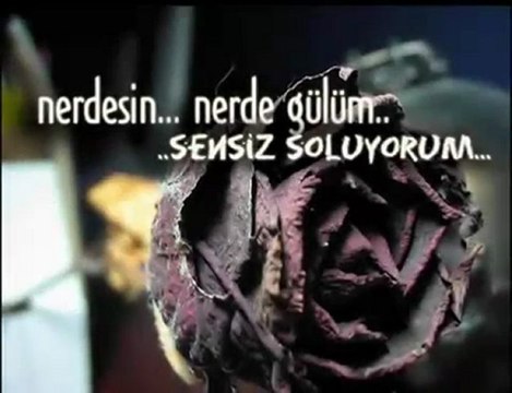 Kaan Gülüm Gülüm Canim Özüm ..........for you Anywhere