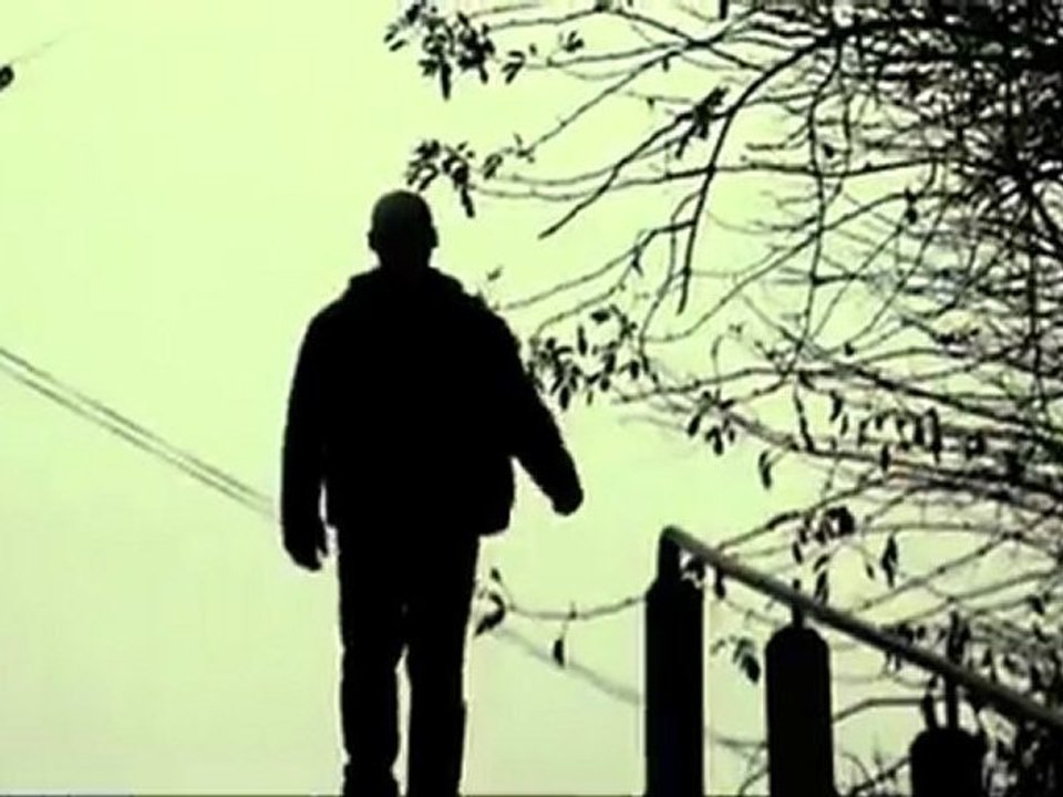 Run with the wolves clip