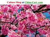 plum blossom in China