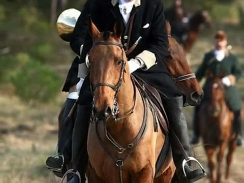 Le Rallye Saintongeais et le Rallye Aunis Poitou