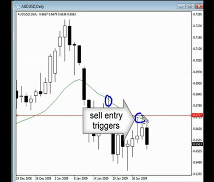 The week in review - Forex Course Signals