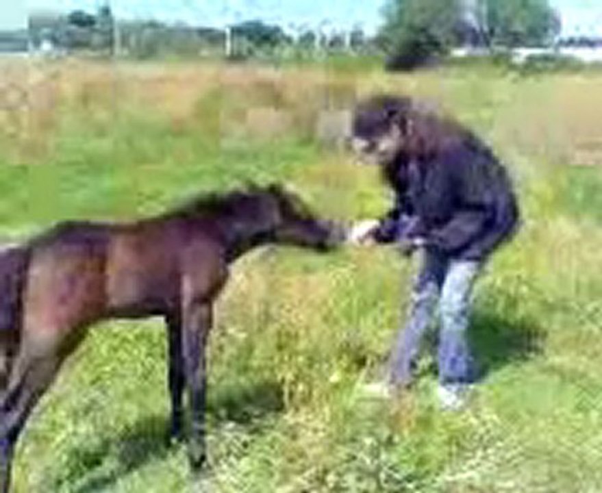 Kenaï 1semaine le gourmand