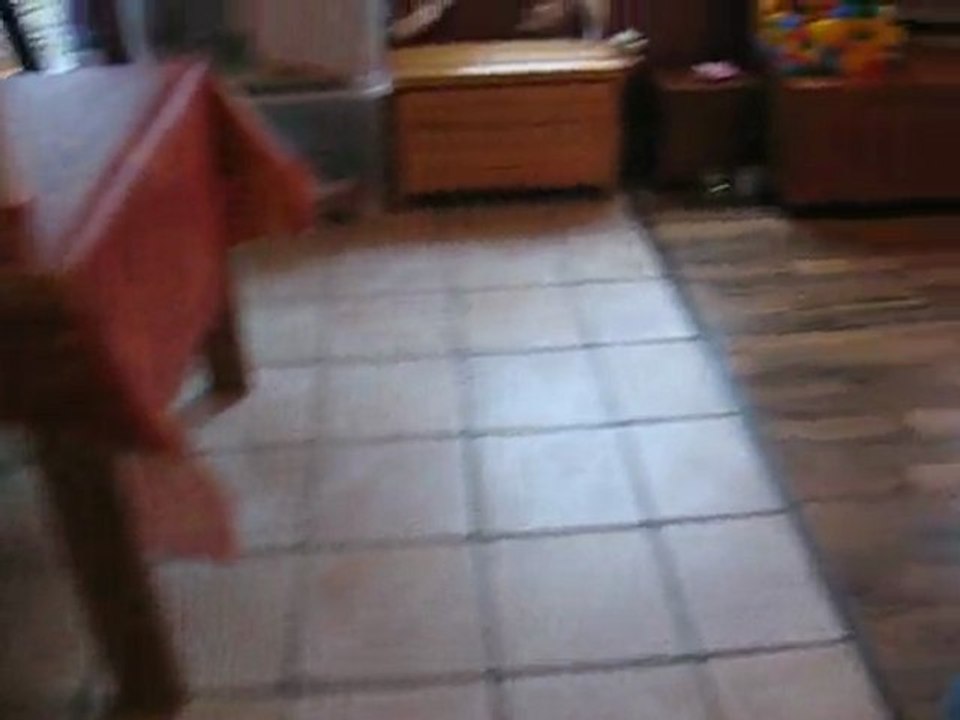 roomba et sccoba en action