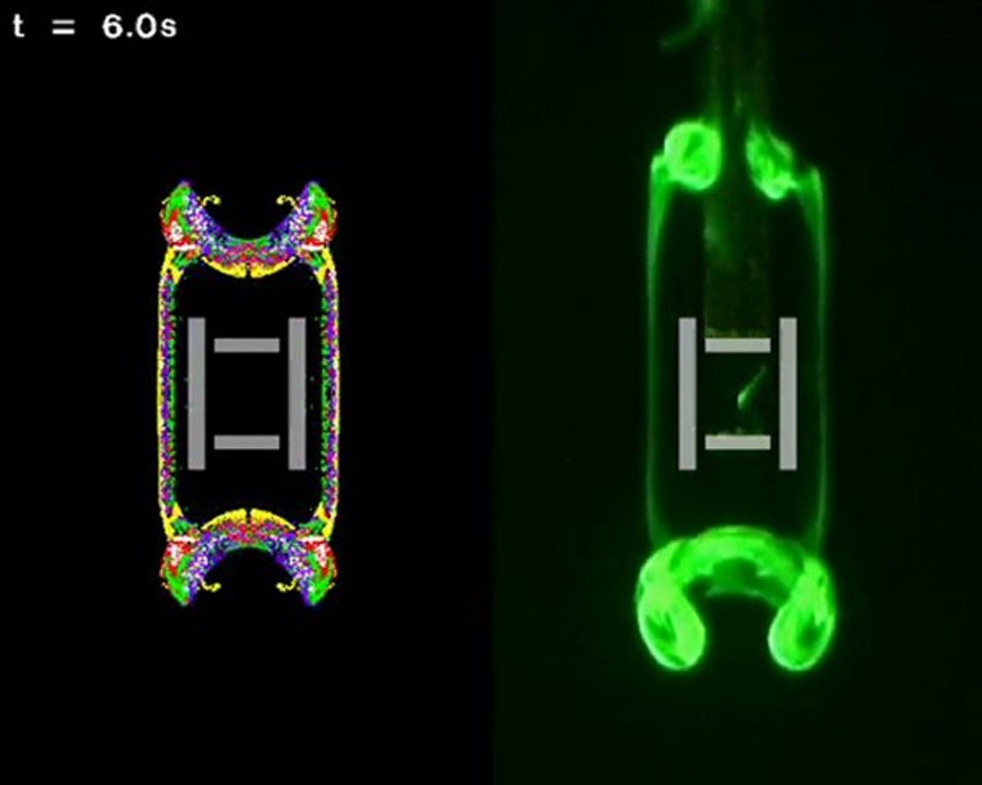 comparaison-visu-cercles-couleurs