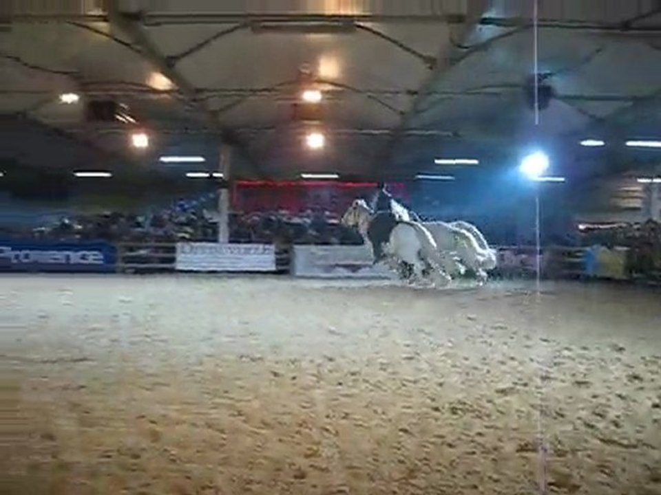 CAMARGUE CHEVAL A CHEVAL 2