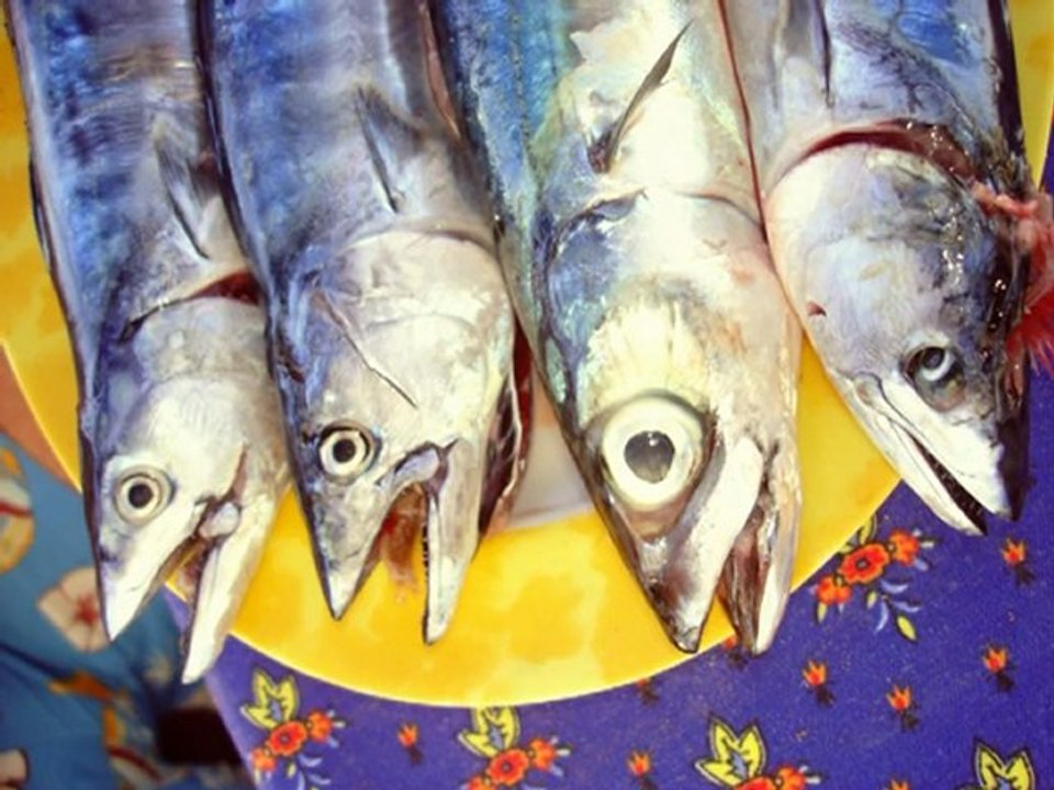 Diaporama été a Canet déc 08