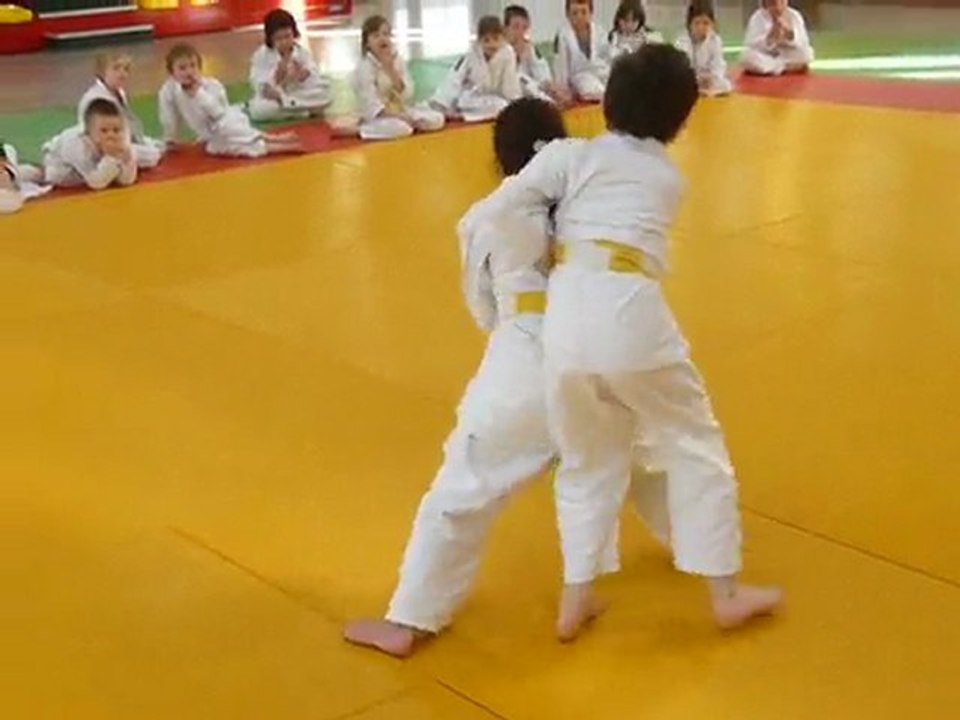 tai otoshi