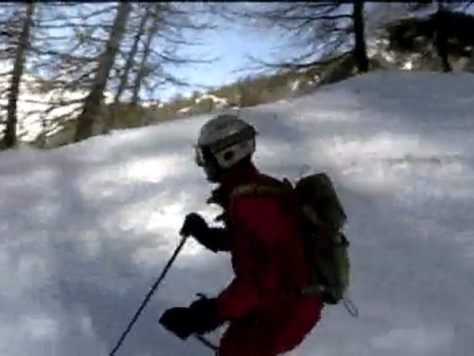 veynas 01_2010