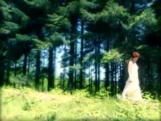 Aslı - Kördüğüm