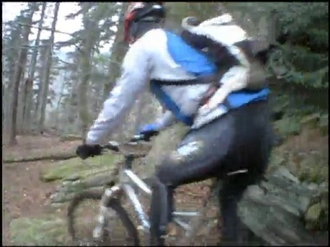 VTT descente crêtes techniques Vosges du Nord 12Ap's