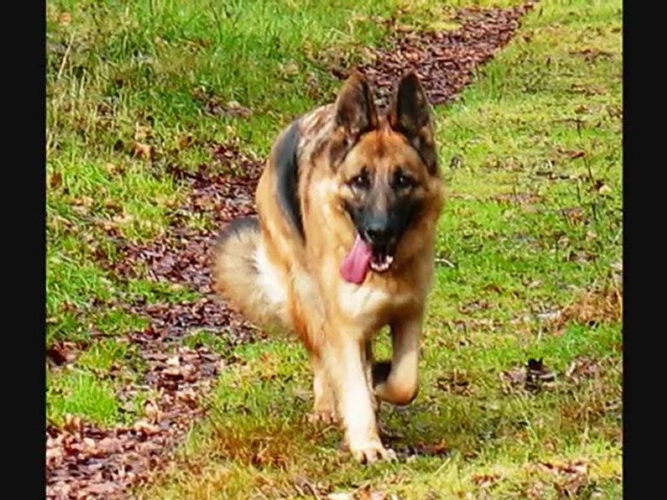 Baya du Parcaou - Décembre 2009