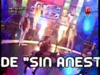 Carolina Mestrovic - Tú no eres para mi