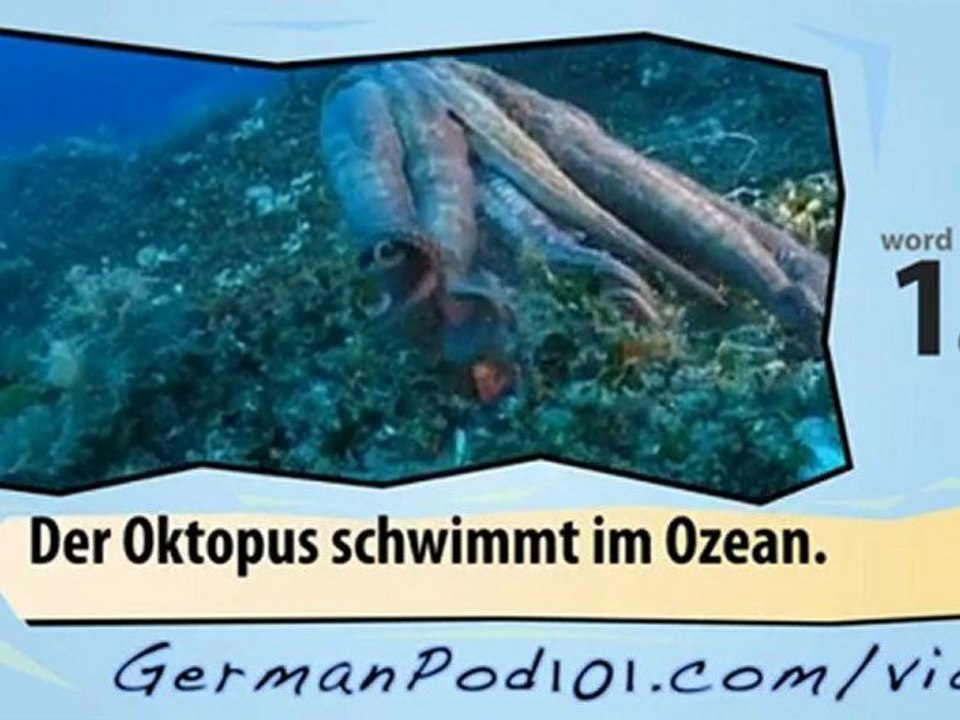 Learn German - Learn with German Marine Life Videos
