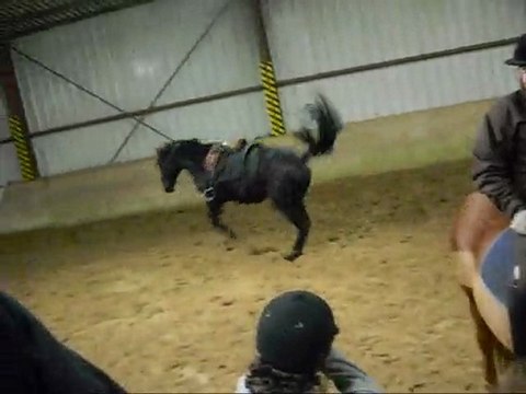 Galop du Mardi 19 Janvier 2010