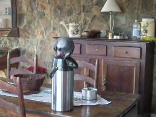 t'es ou(je me suis cachée derriere le rideau