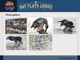 Bay Flats Lodge – Guided Gulf Coast Fishing Trips & ...