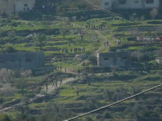 ערבים מתפרעים ליד נווה צוף חלמיש